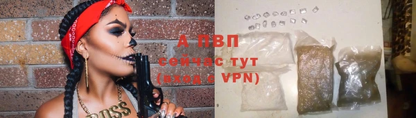 шишки Богданович