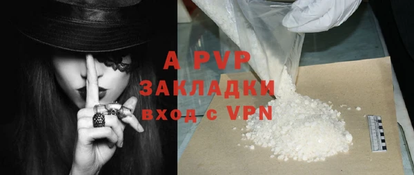 шишки Богданович