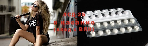 стафф Богородицк