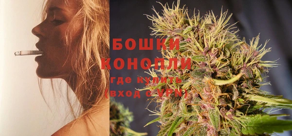 стафф Богородицк