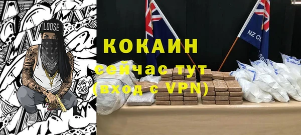шишки Богданович