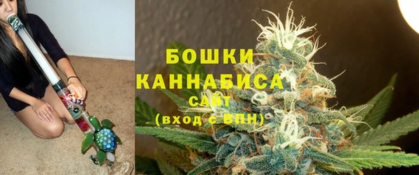 шишки Богданович