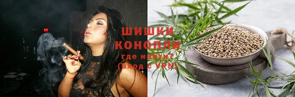 шишки Богданович