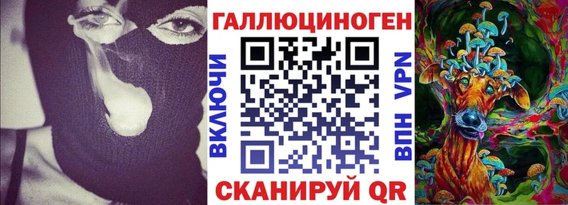 Псилоцибиновые грибы GOLDEN TEACHER  ОМГ ОМГ tor  даркнет наркотические препараты  купить   Павловск 